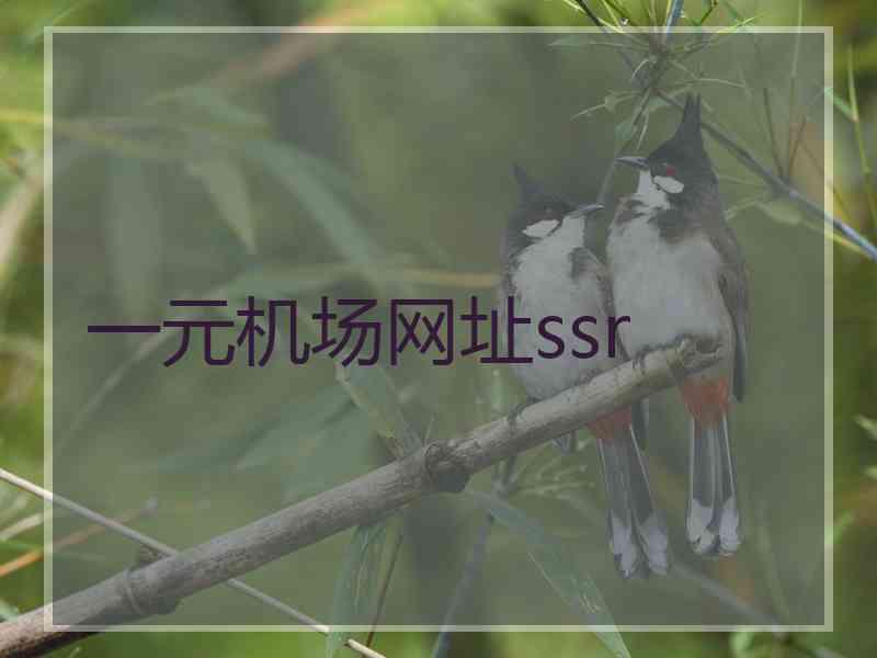 一元机场网址ssr