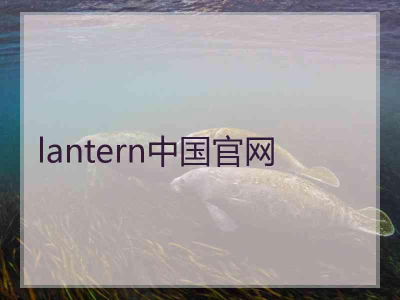 lantern中国官网
