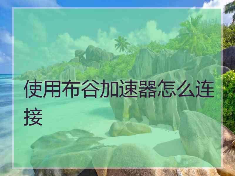 使用布谷加速器怎么连接