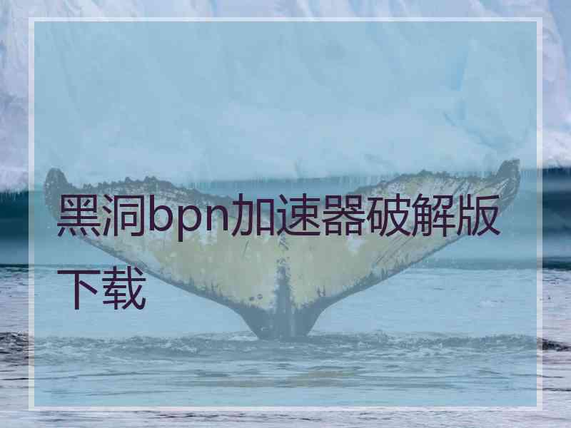 黑洞bpn加速器破解版下载