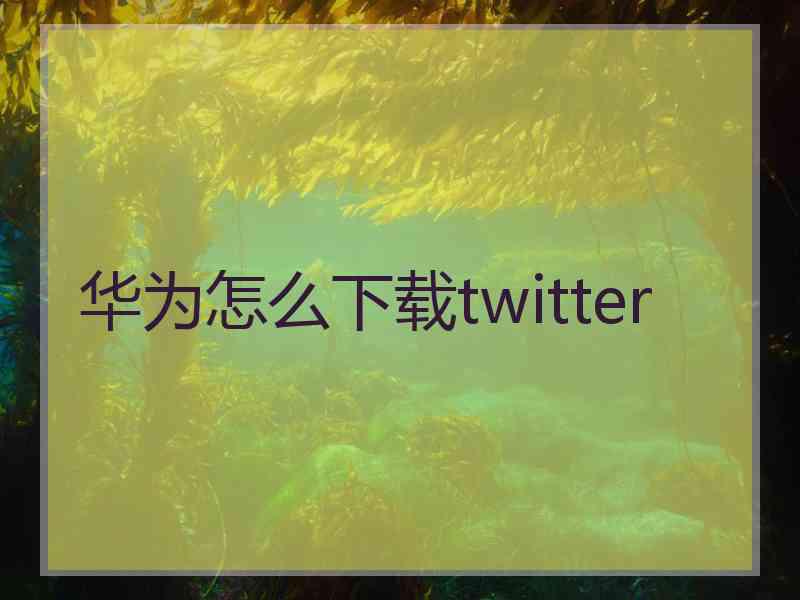 华为怎么下载twitter