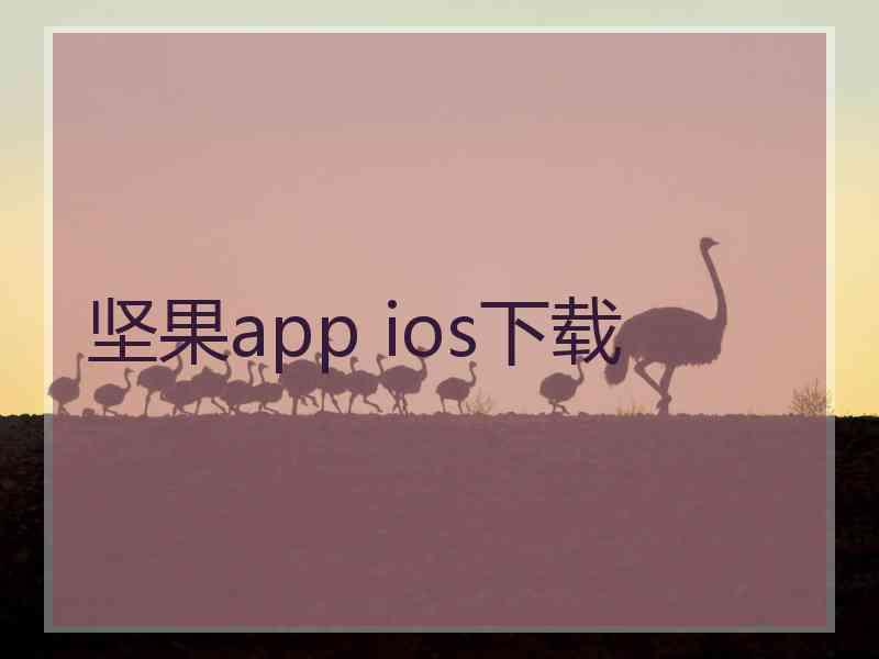 坚果app ios下载