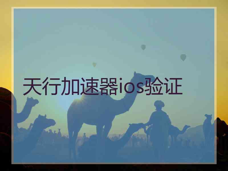天行加速器ios验证