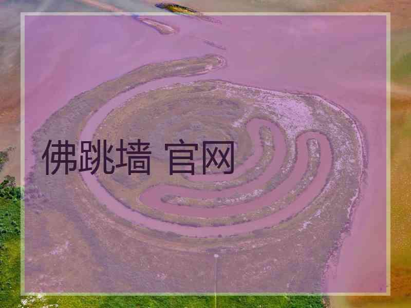 佛跳墙 官网