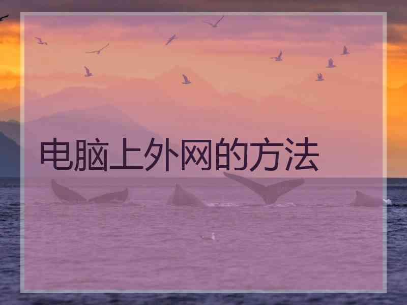 电脑上外网的方法