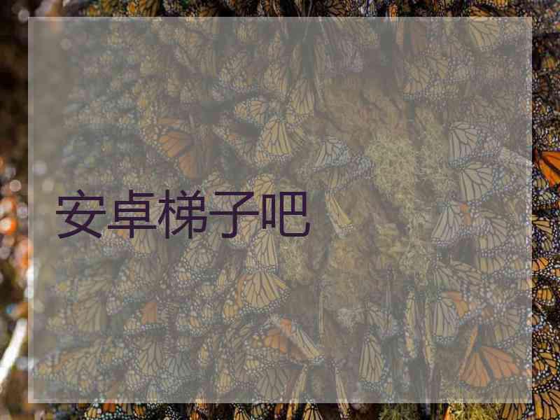 安卓梯子吧