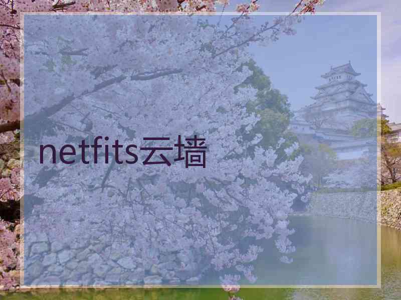 netfits云墙