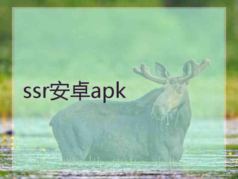 ssr安卓apk