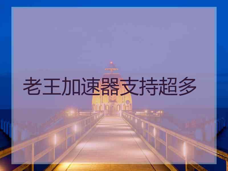 老王加速器支持超多