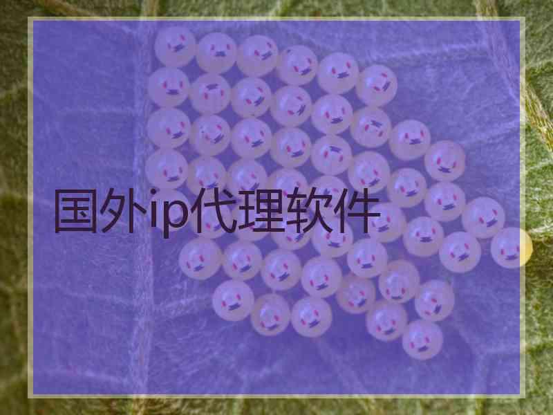 国外ip代理软件