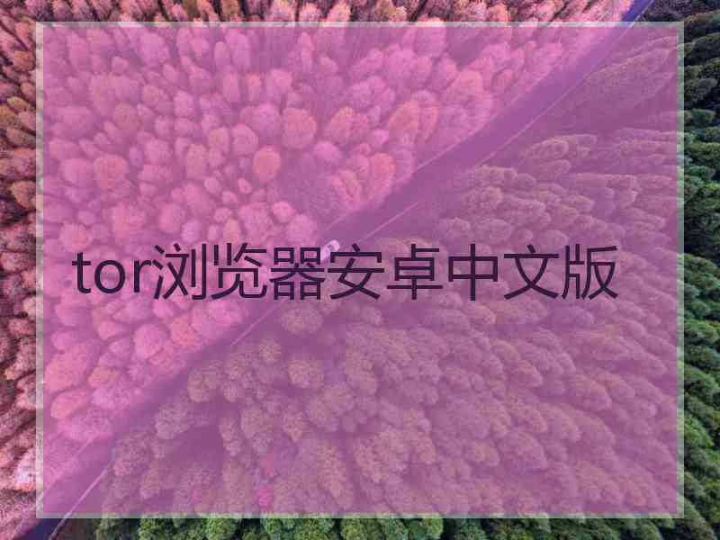 tor浏览器安卓中文版