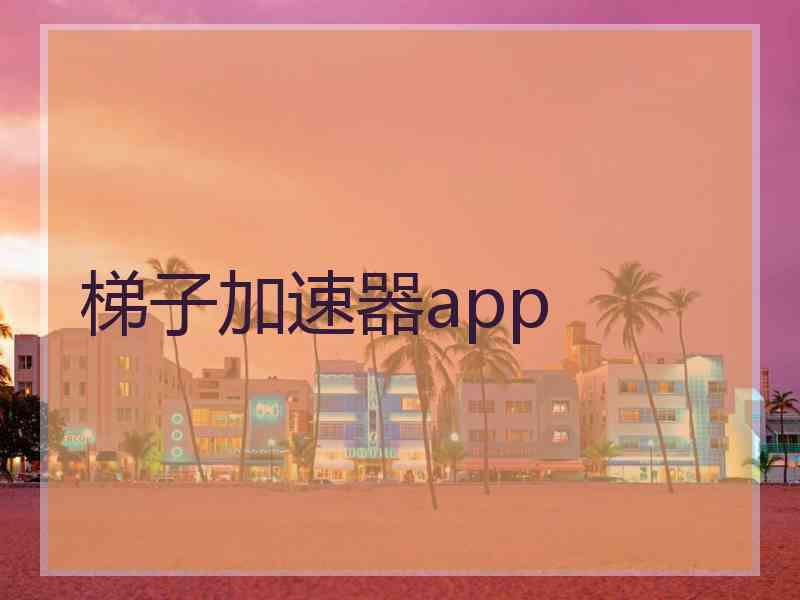 梯子加速器app