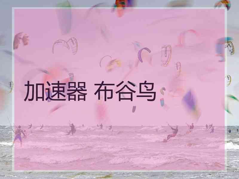 加速器 布谷鸟
