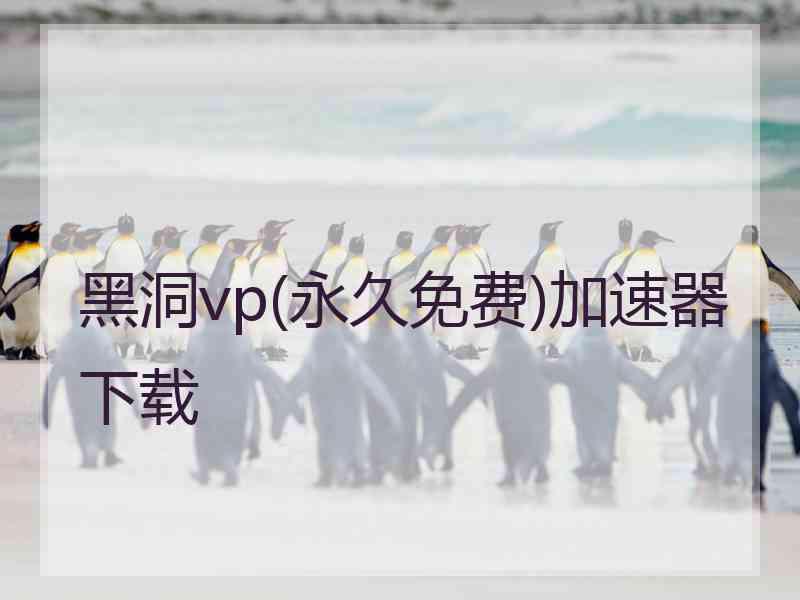 黑洞vp(永久免费)加速器下载