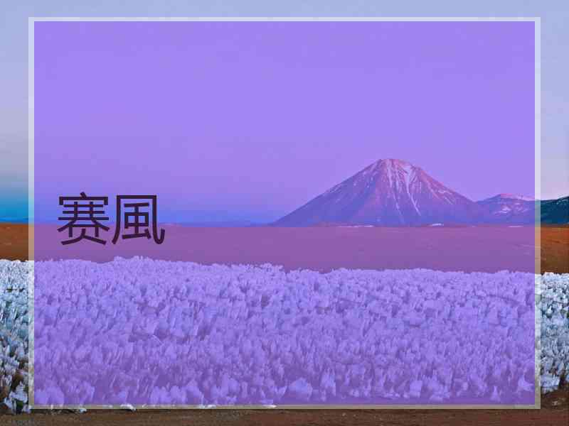 赛風