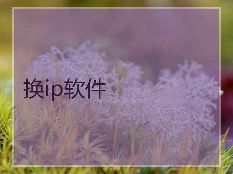 换ip软件