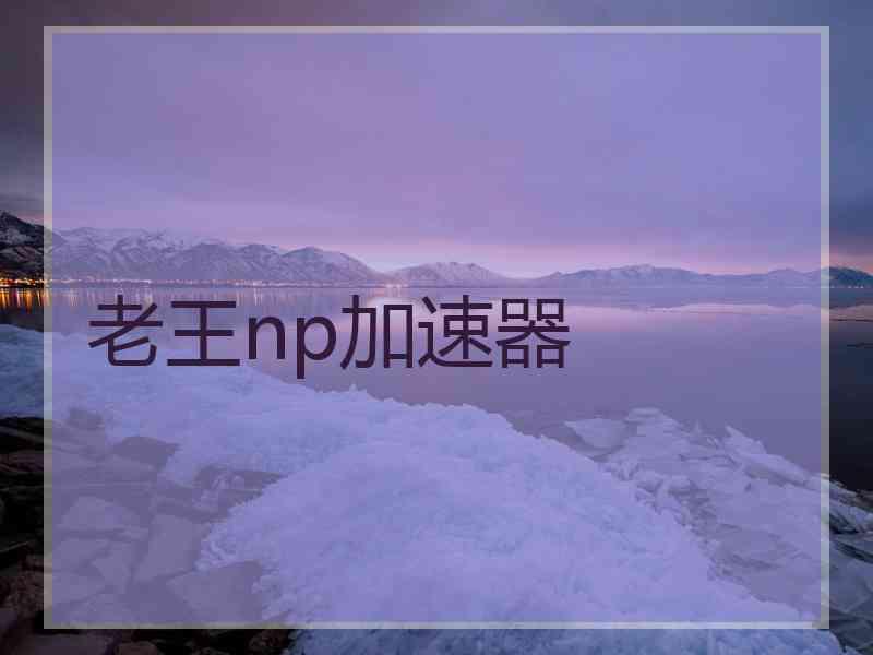 老王np加速器