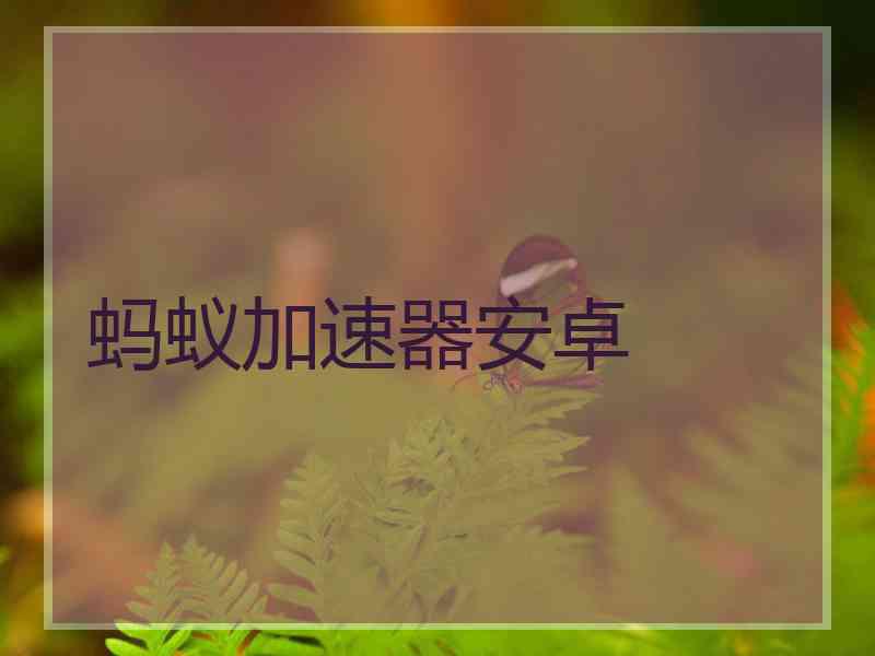 蚂蚁加速器安卓