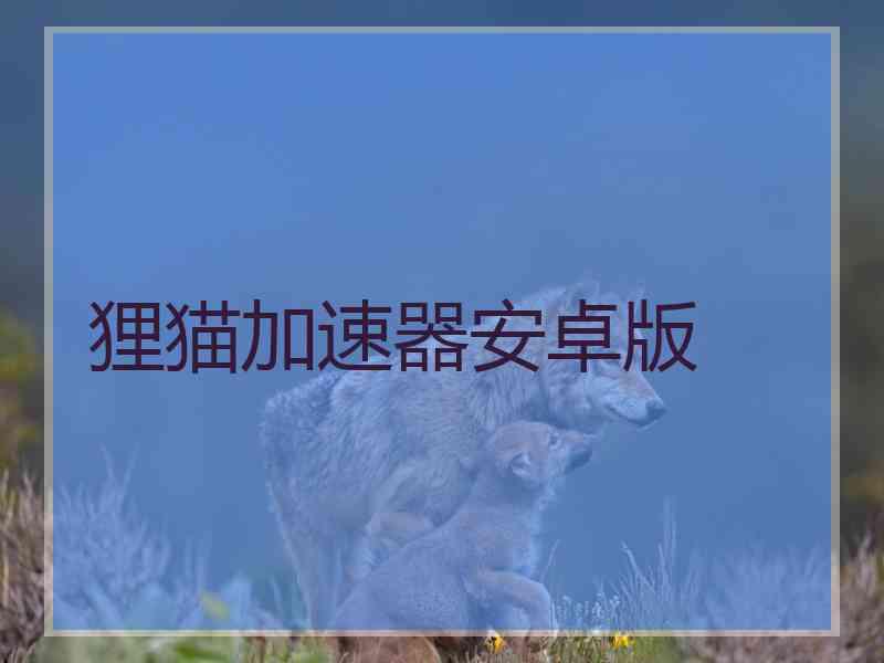 狸猫加速器安卓版