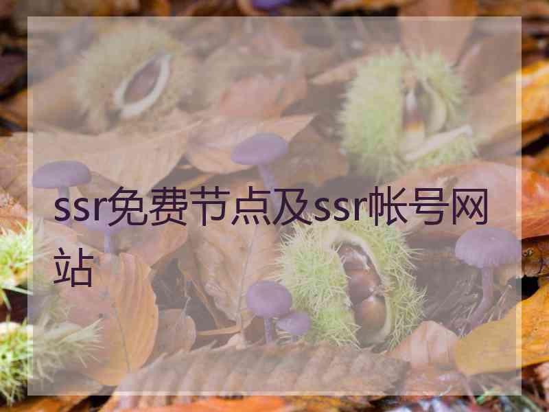 ssr免费节点及ssr帐号网站