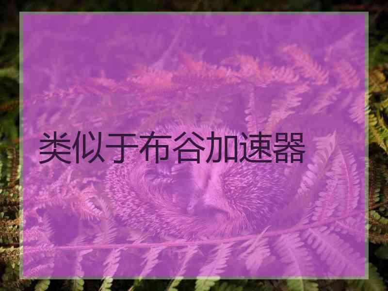 类似于布谷加速器