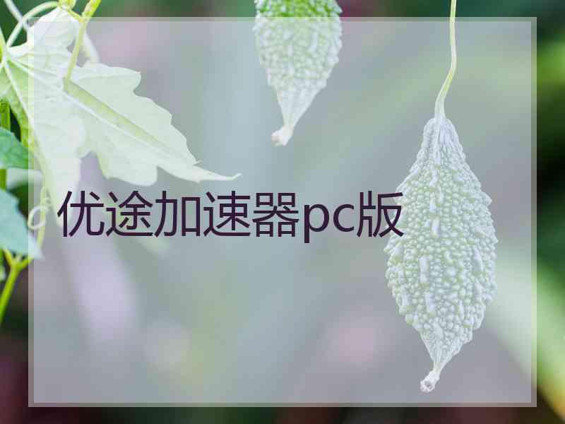 优途加速器pc版