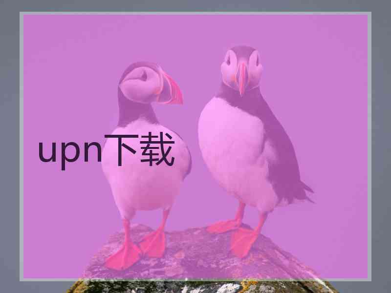 upn下载