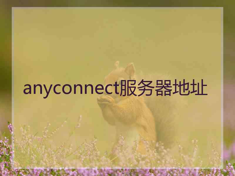 anyconnect服务器地址