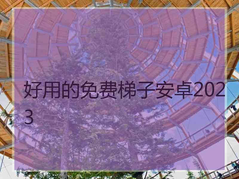 好用的免费梯子安卓2023