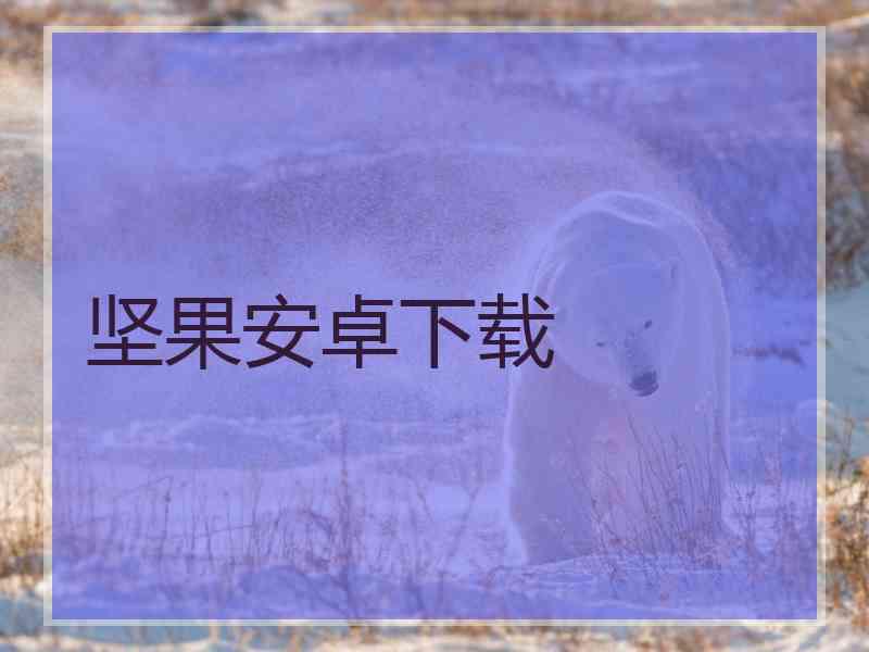 坚果安卓下载