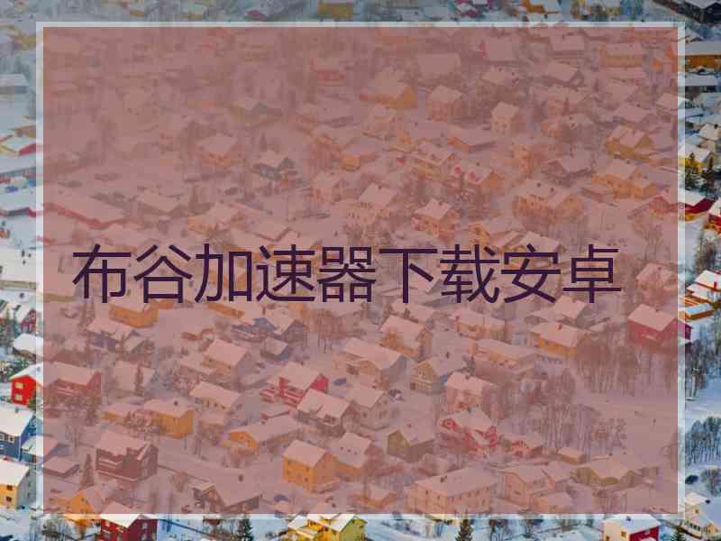 布谷加速器下载安卓