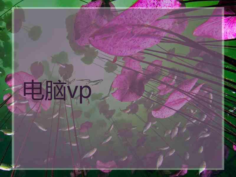 电脑vp