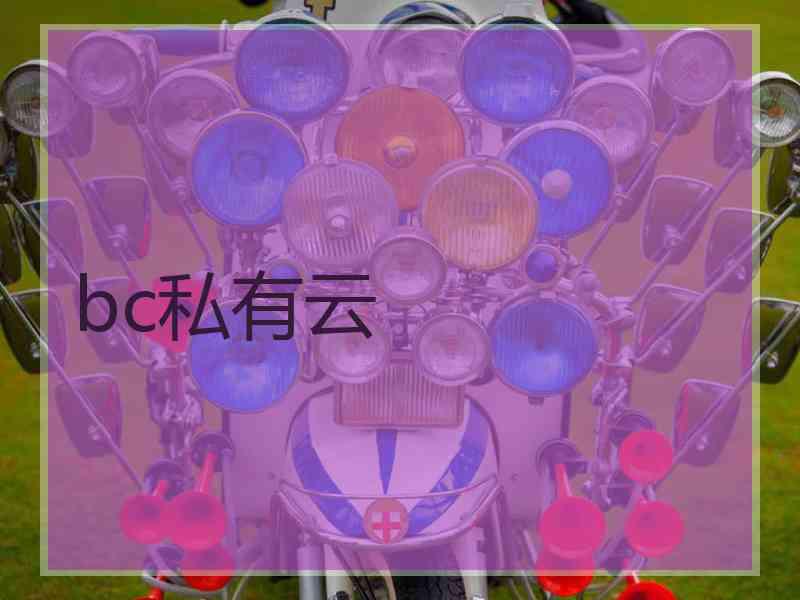 bc私有云