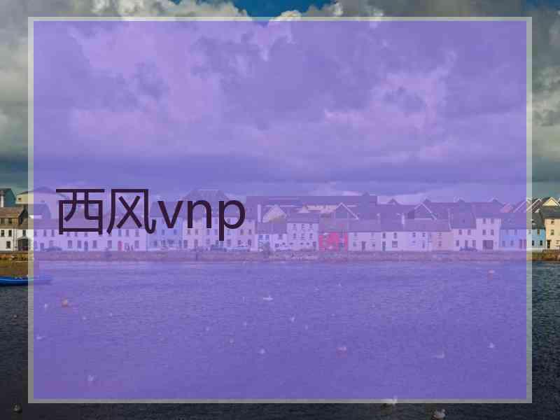 西风vnp