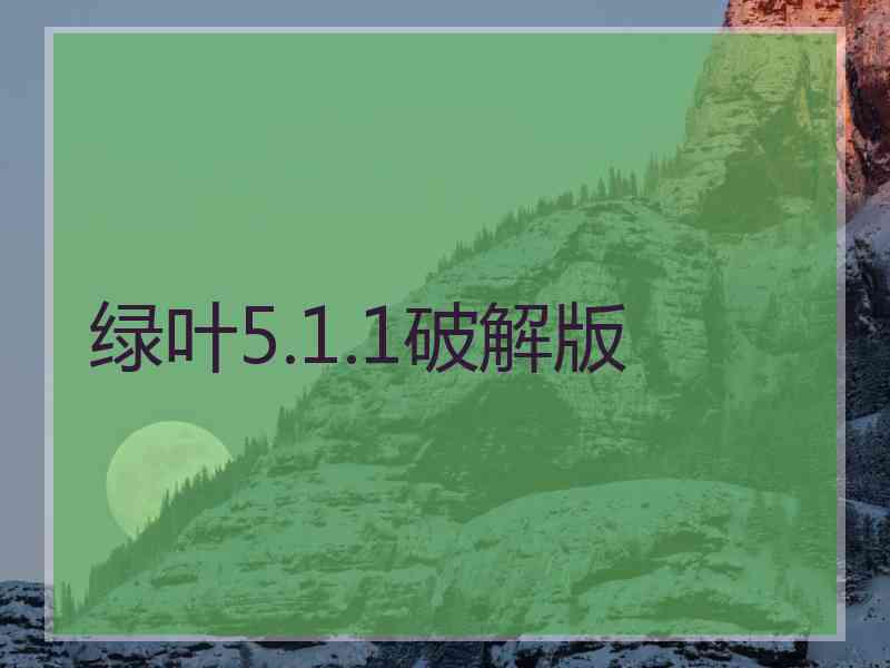 绿叶5.1.1破解版