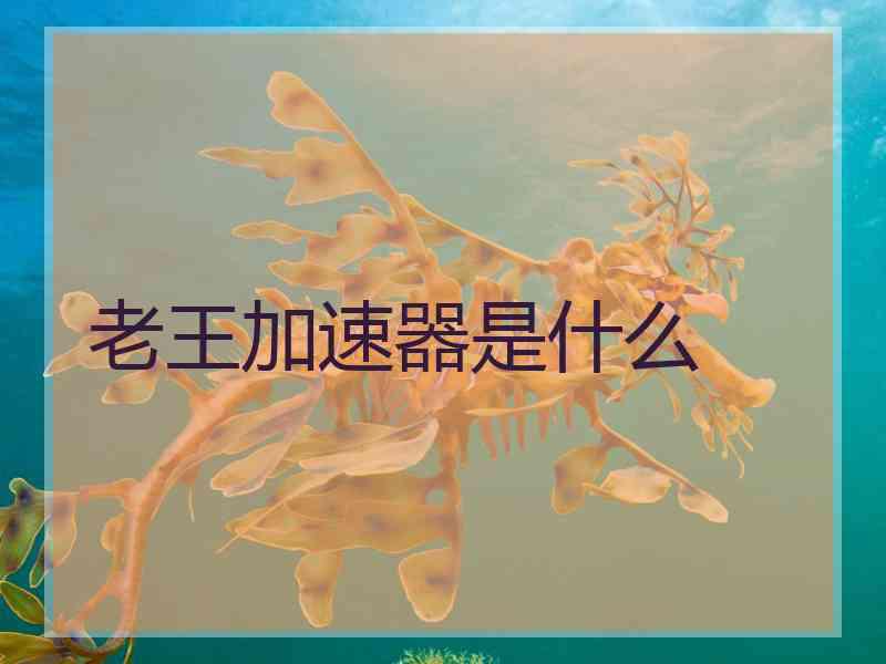 老王加速器是什么