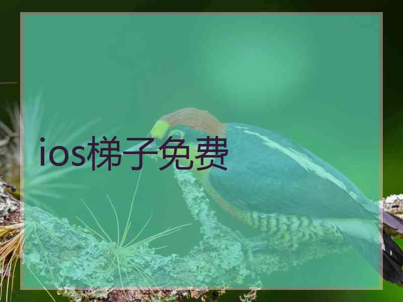ios梯子免费