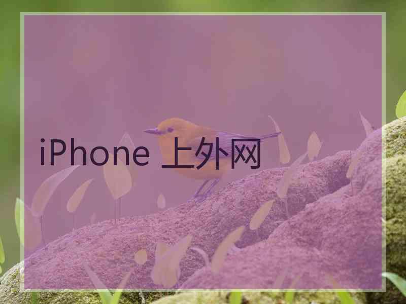 iPhone 上外网
