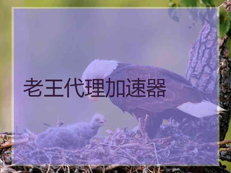 老王代理加速器