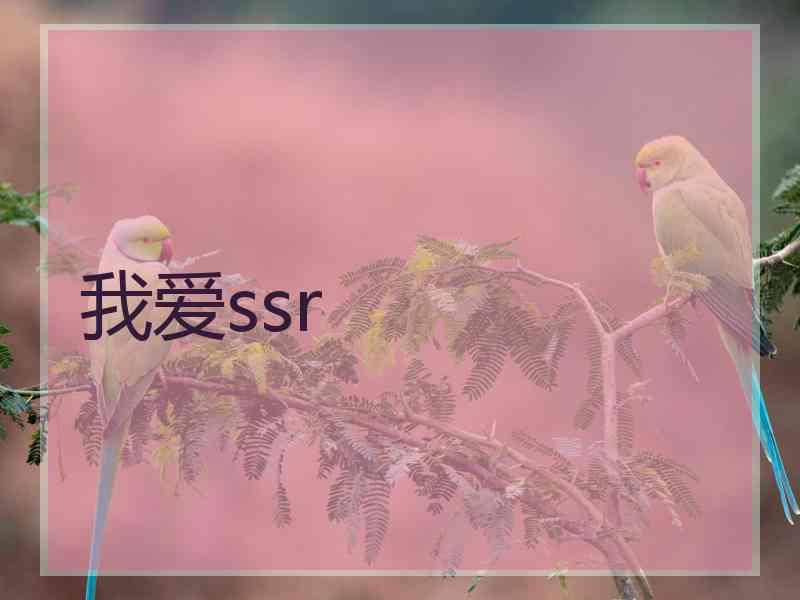 我爱ssr