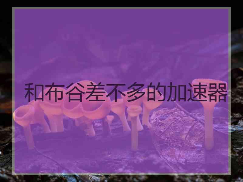 和布谷差不多的加速器