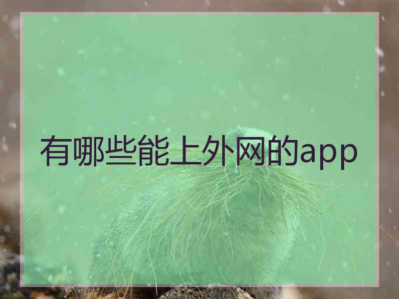 有哪些能上外网的app