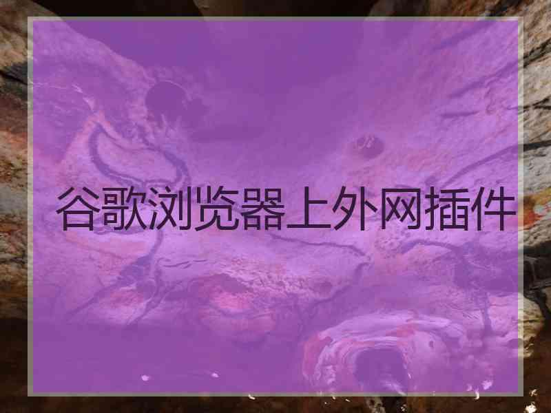 谷歌浏览器上外网插件