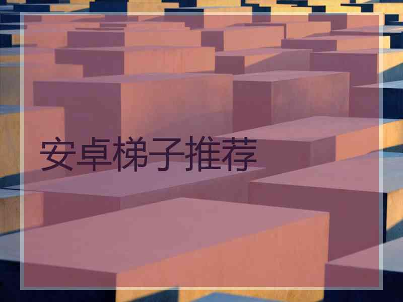 安卓梯子推荐