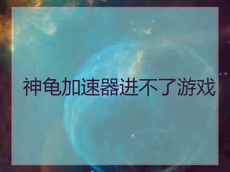 神龟加速器进不了游戏