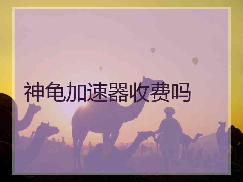 神龟加速器收费吗