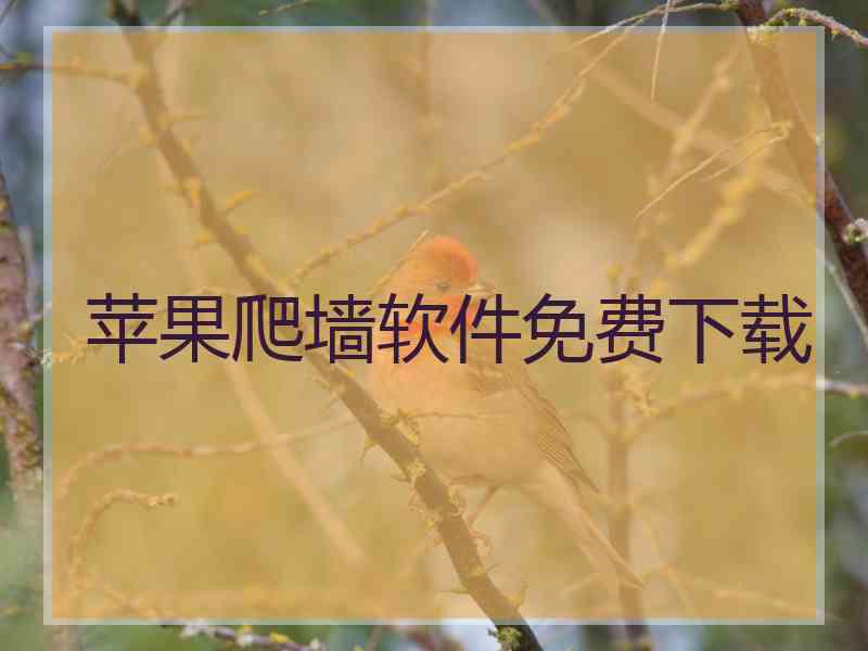 苹果爬墙软件免费下载