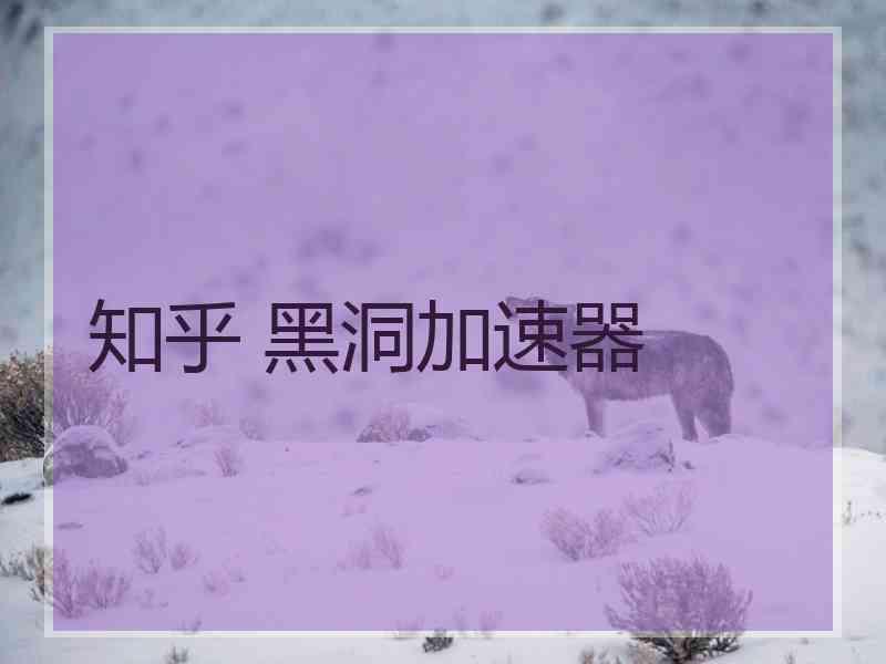 知乎 黑洞加速器
