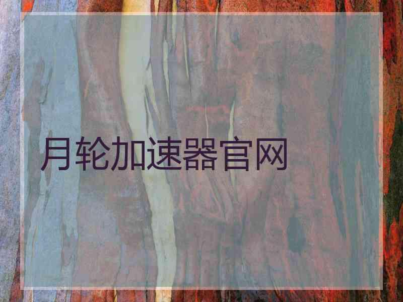 月轮加速器官网