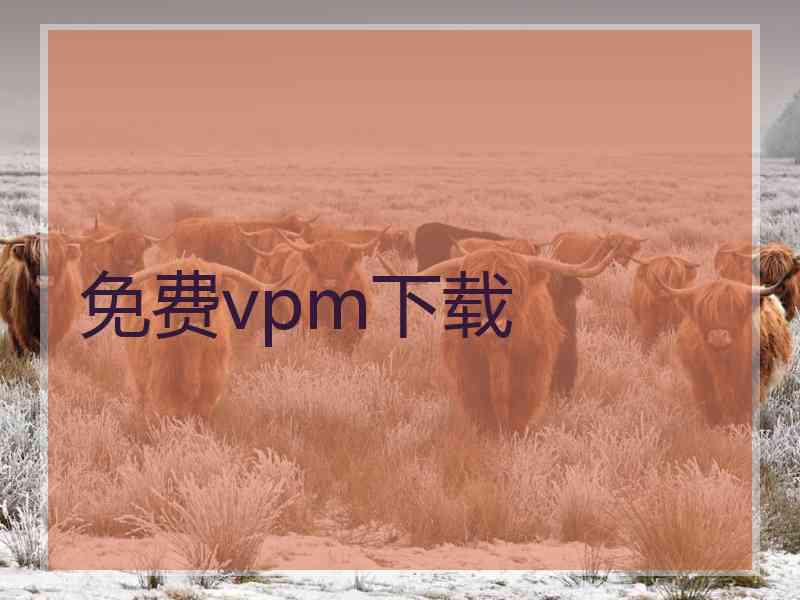 免费vpm下载
